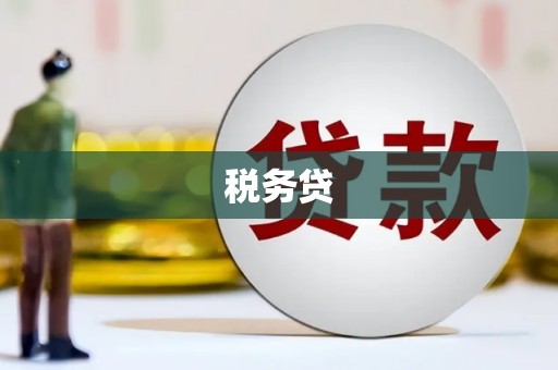 通山税务贷