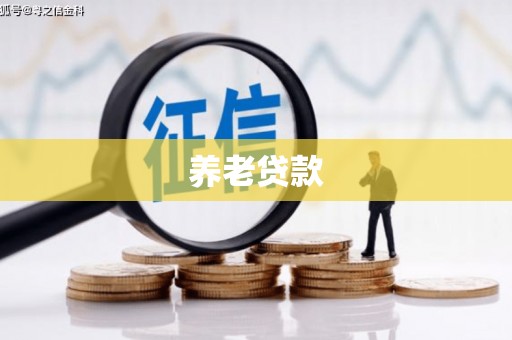 通山养老贷款