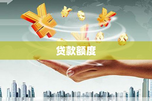 通山贷款额度