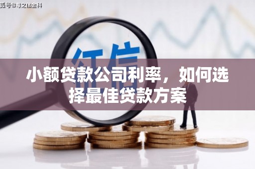 通山小额贷款公司利率，如何选择最佳贷款方案