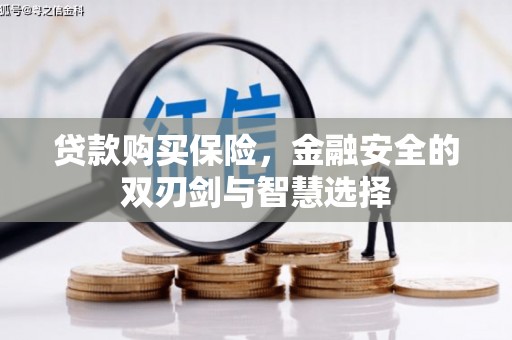 通山贷款购买保险，金融安全的双刃剑与智慧选择