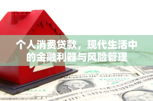 通山个人消费贷款，现代生活中的金融利器与风险管理