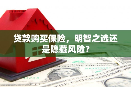 通山贷款购买保险，明智之选还是隐藏风险？