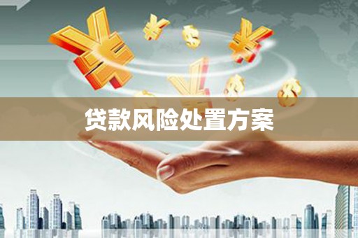 通山贷款风险处置方案