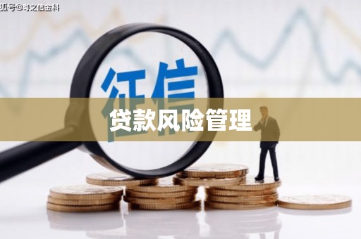 通山贷款风险管理