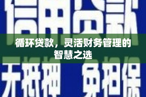 通山循环贷款，灵活财务管理的智慧之选