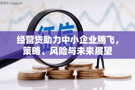通山经营贷助力中小企业腾飞，策略、风险与未来展望