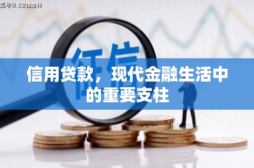 通山信用贷款，现代金融生活中的重要支柱
