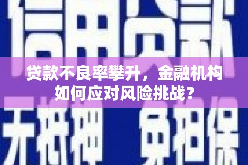 通山贷款不良率攀升，金融机构如何应对风险挑战？