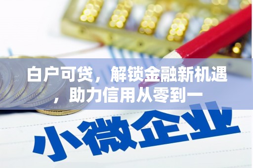 通山白户可贷，解锁金融新机遇，助力信用从零到一