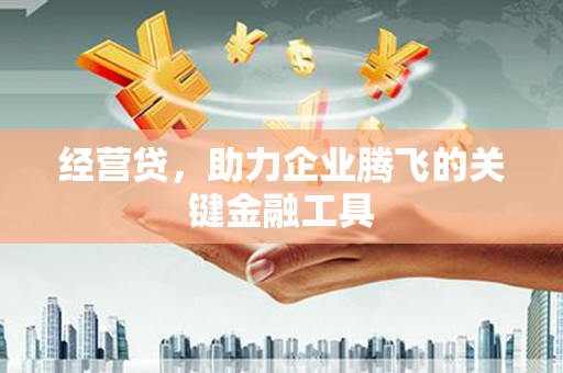 通山经营贷，助力企业腾飞的关键金融工具