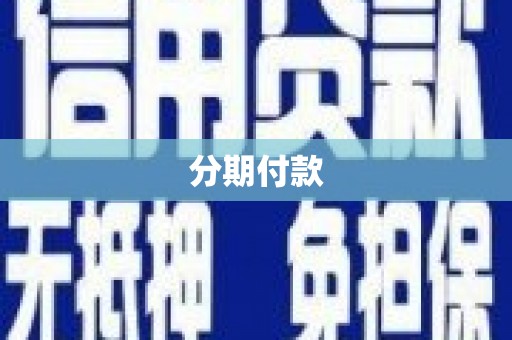通山分期付款