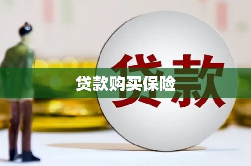 通山贷款购买保险
