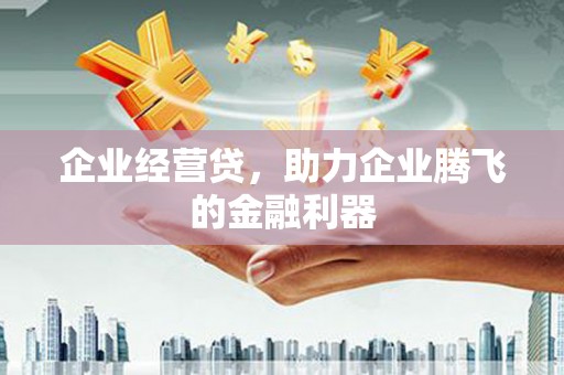 通山企业经营贷，助力企业腾飞的金融利器