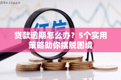通山贷款逾期怎么办？5个实用策略助你摆脱困境