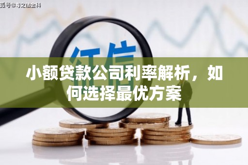 通山小额贷款公司利率解析，如何选择最优方案