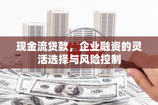 通山现金流贷款，企业融资的灵活选择与风险控制