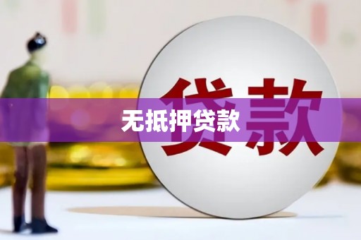 通山无抵押贷款