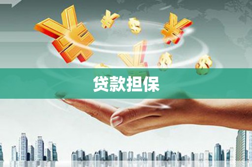 通山贷款担保