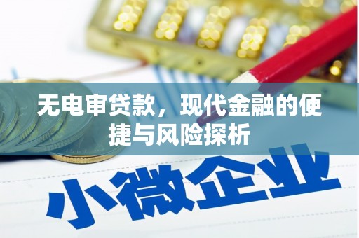 通山无电审贷款，现代金融的便捷与风险探析