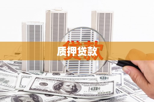 通山质押贷款