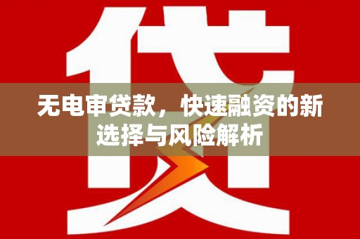 通山无电审贷款，快速融资的新选择与风险解析