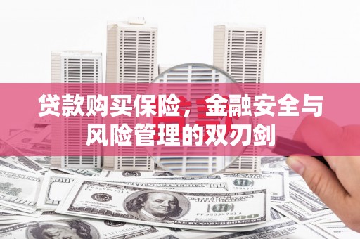 通山贷款购买保险，金融安全与风险管理的双刃剑