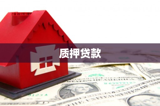 通山质押贷款