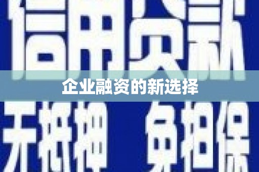 通山企业融资的新选择