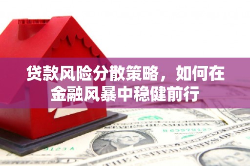 通山贷款风险分散策略，如何在金融风暴中稳健前行