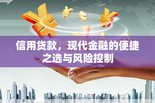 通山信用贷款，现代金融的便捷之选与风险控制