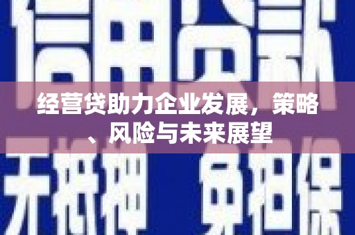通山经营贷助力企业发展，策略、风险与未来展望