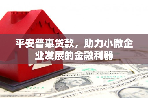 通山平安普惠贷款，助力小微企业发展的金融利器
