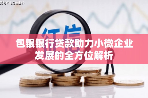 通山包银银行贷款助力小微企业发展的全方位解析