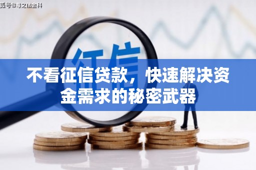 通山不看征信贷款，快速解决资金需求的秘密武器