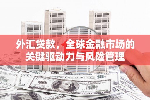 通山外汇贷款，全球金融市场的关键驱动力与风险管理
