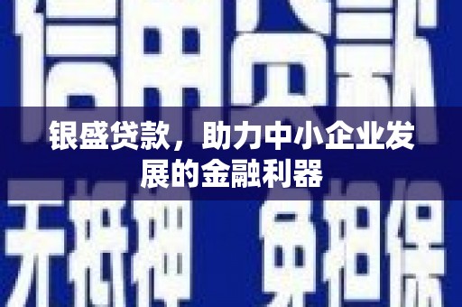 通山银盛贷款，助力中小企业发展的金融利器