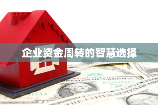 通山企业资金周转的智慧选择