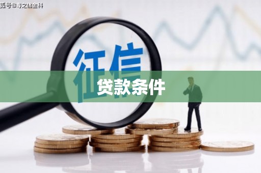 通山贷款条件