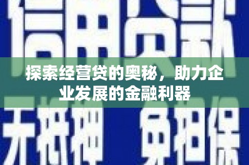 通山探索经营贷的奥秘，助力企业发展的金融利器