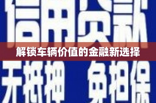 通山解锁车辆价值的金融新选择