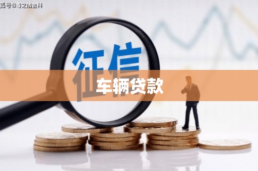 通山车辆贷款