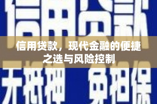 通山信用贷款，现代金融的便捷之选与风险控制