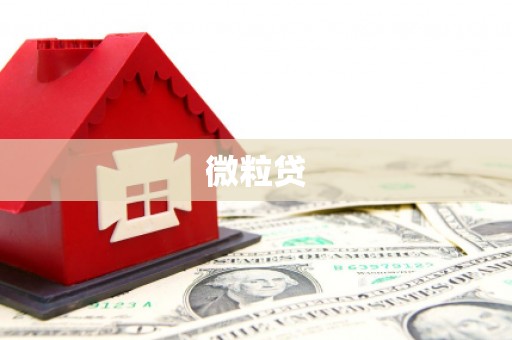 通山微粒贷