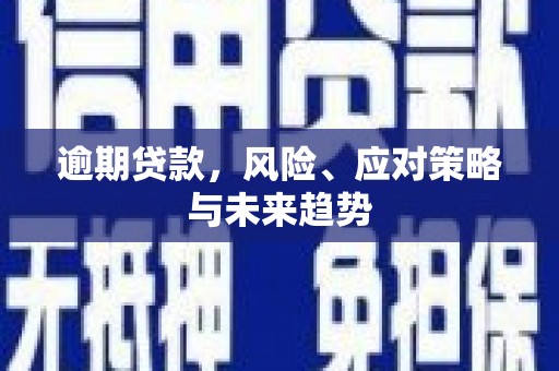 通山逾期贷款，风险、应对策略与未来趋势
