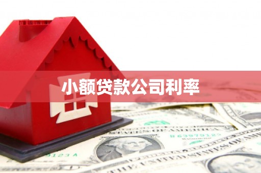 通山小额贷款公司利率