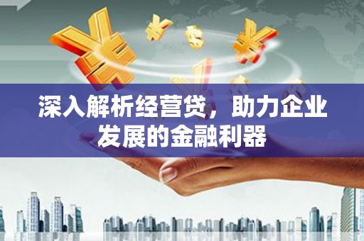 通山深入解析经营贷，助力企业发展的金融利器