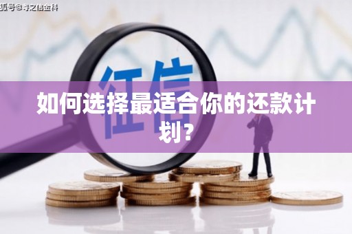 通山如何选择最适合你的还款计划？