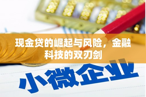 通山现金贷的崛起与风险，金融科技的双刃剑