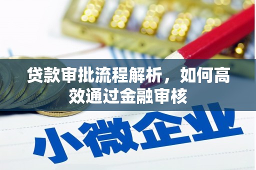通山贷款审批流程解析，如何高效通过金融审核